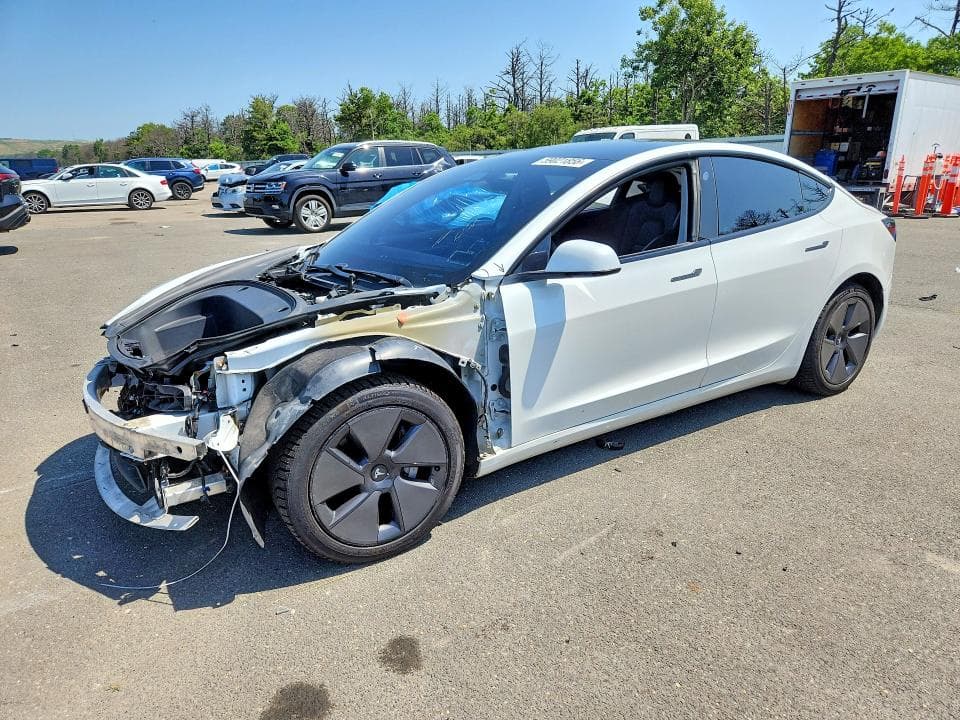 2021 TESLA MODEL 3 - 1