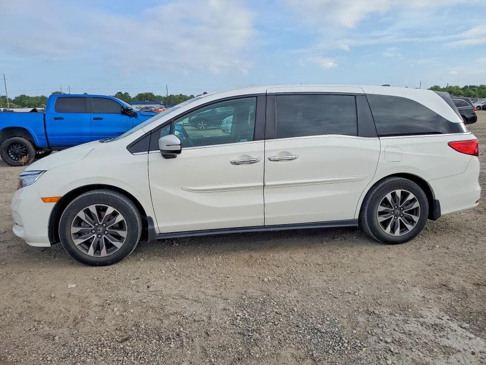 2024 HONDA ODYSSEY EXL - 1