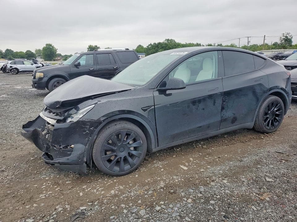 2021 TESLA MODEL Y - 1