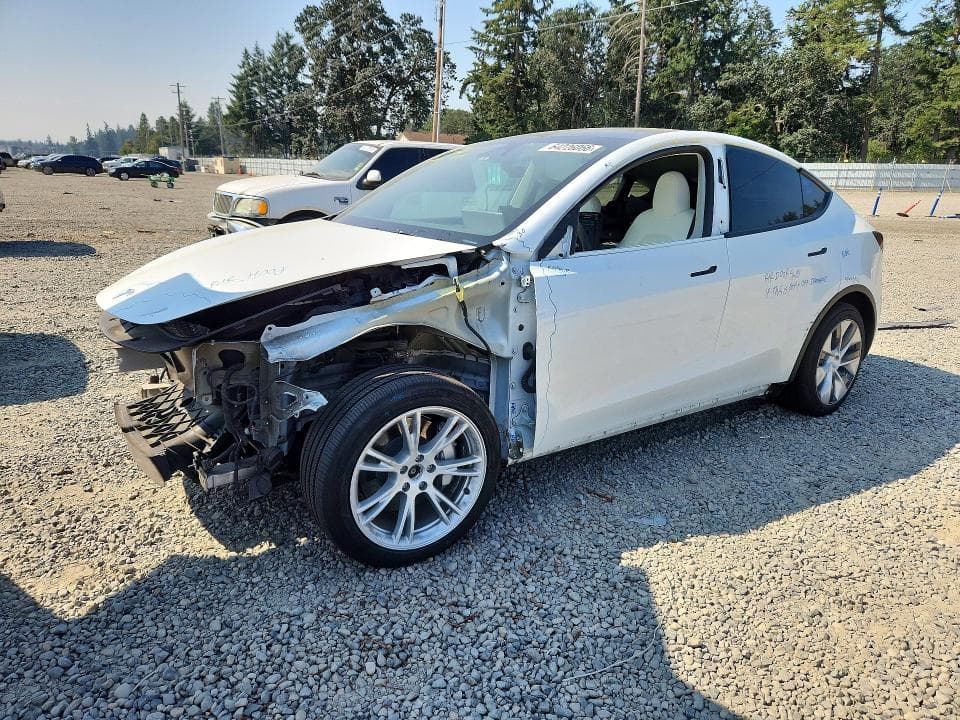 2024 TESLA MODEL Y - 1