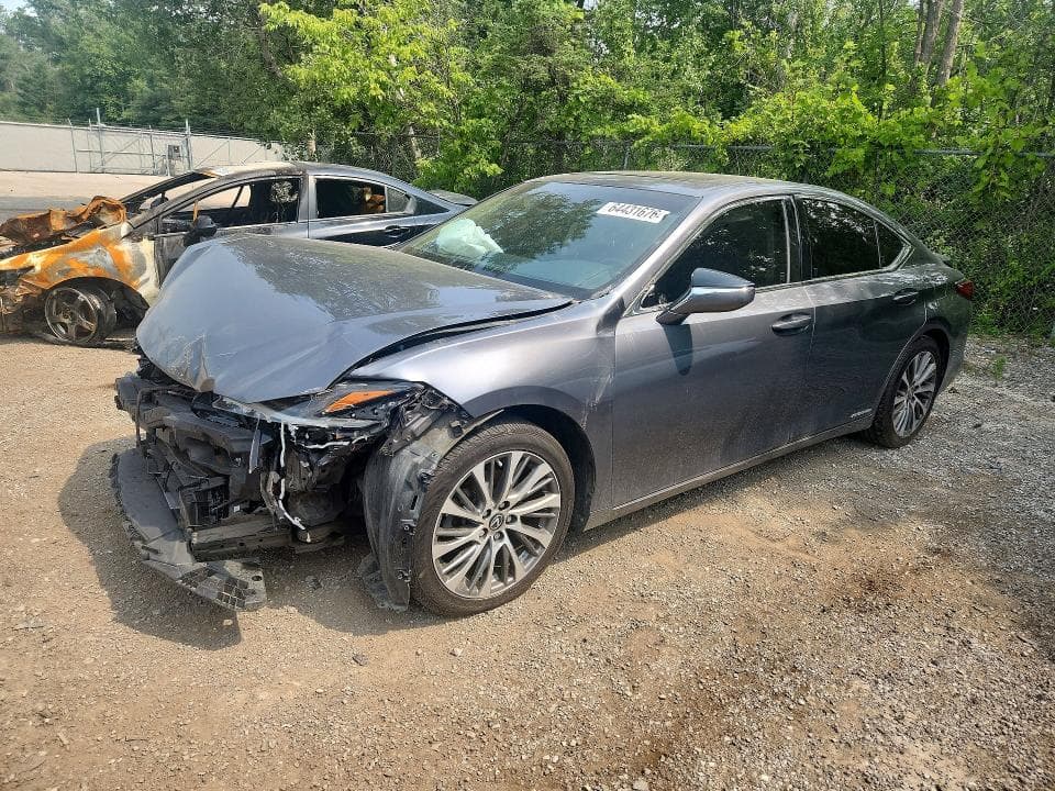 2019 LEXUS ES 300H