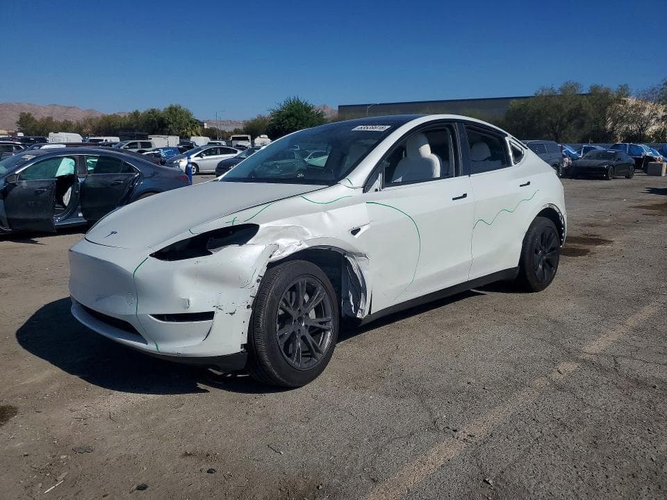 2024 TESLA MODEL Y - 1