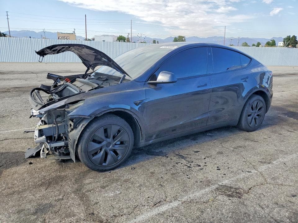 2025 TESLA MODEL Y - 1