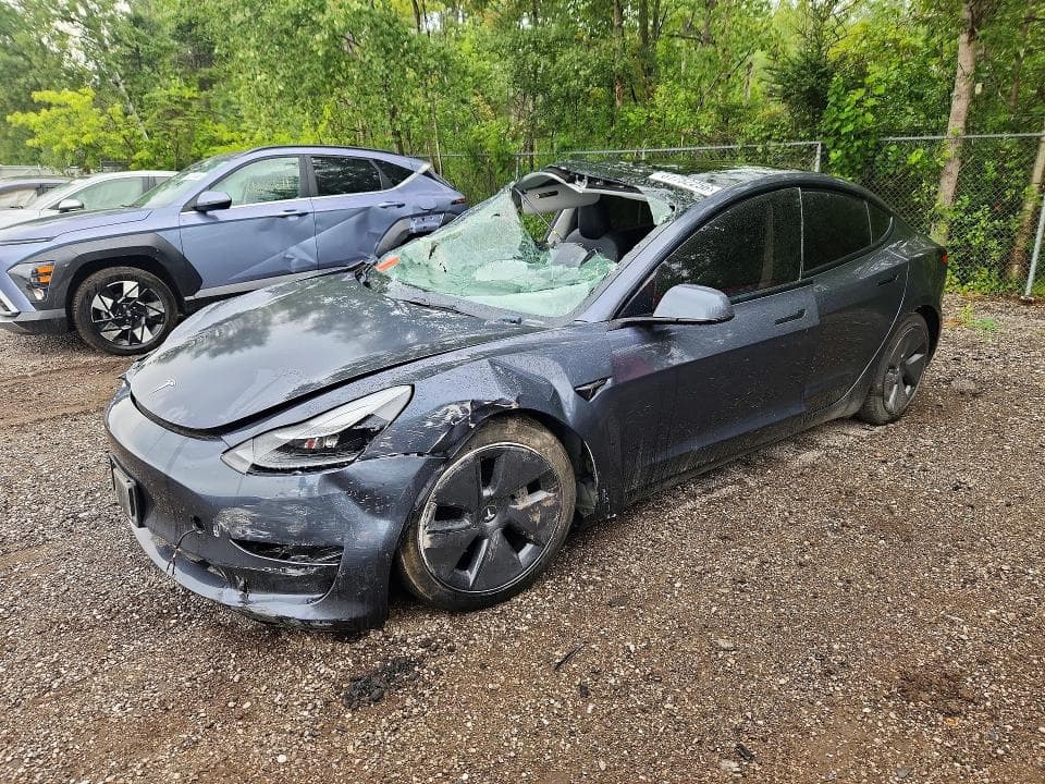 2023 TESLA MODEL 3 - 1