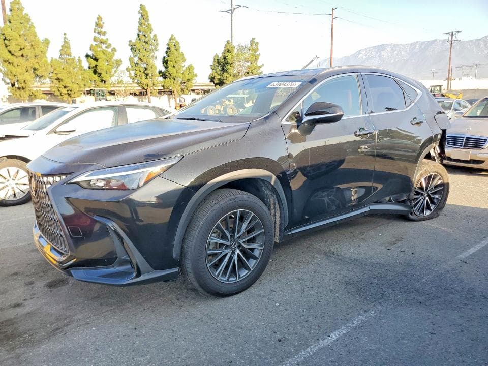 2023 LEXUS NX 350H - 1