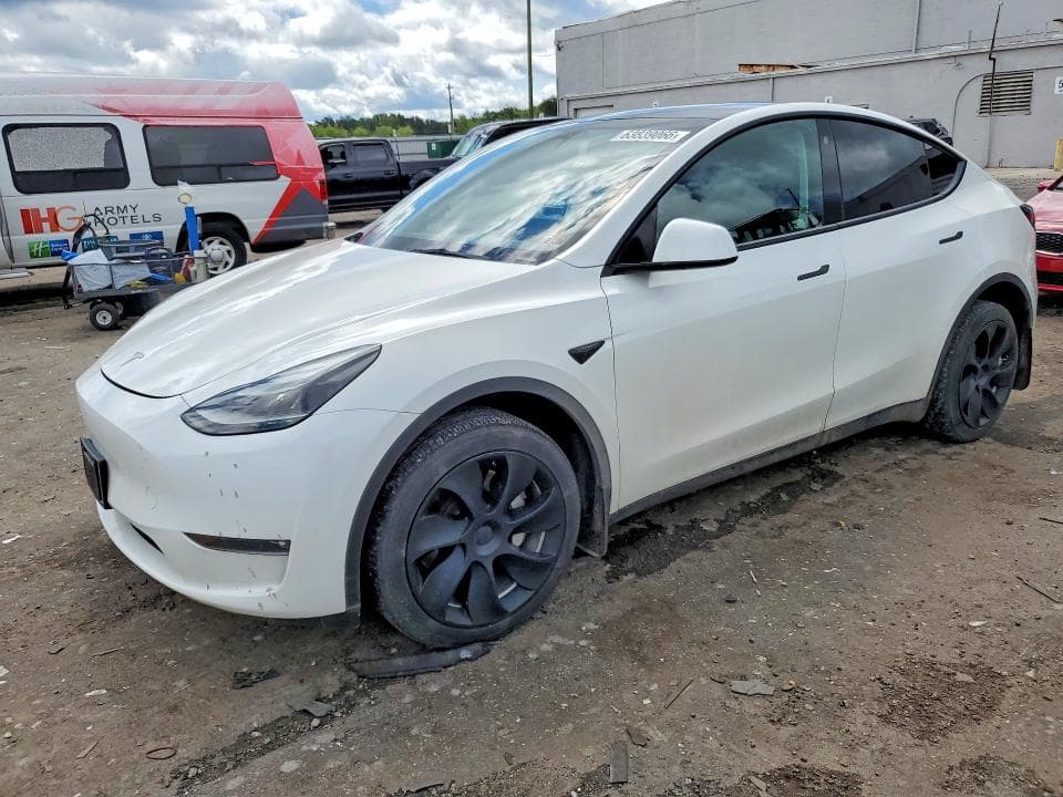 2023 TESLA MODEL Y - 1