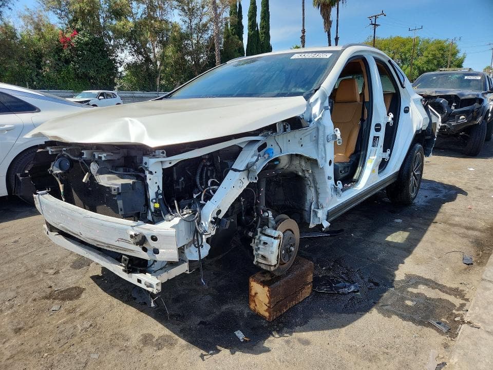 2025 LEXUS NX 250 BASE - 1