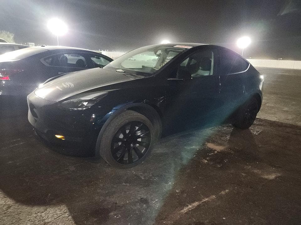 2025 TESLA MODEL Y - 1