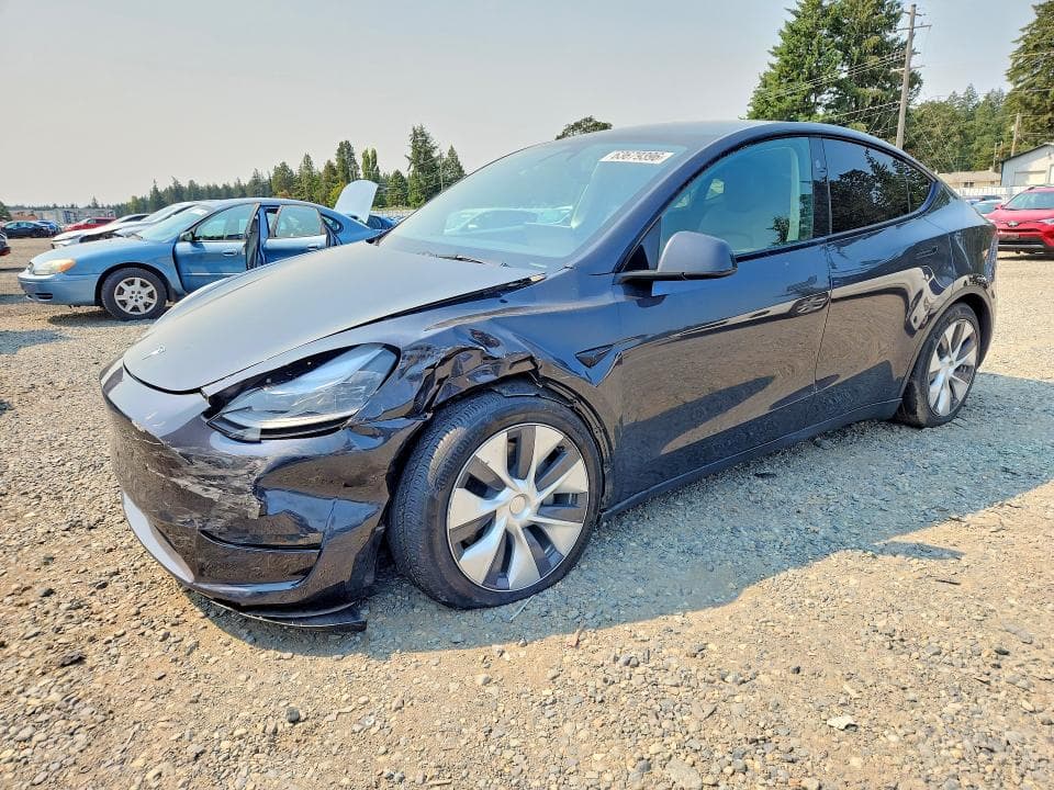 2024 TESLA MODEL Y - 1