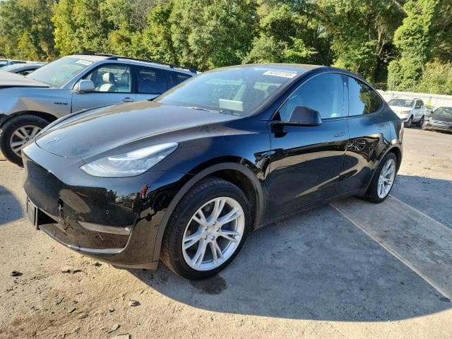 2021 TESLA MODEL Y - 1