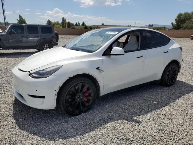 2021 TESLA MODEL Y - 1
