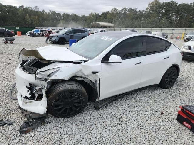2021 TESLA MODEL Y - 1