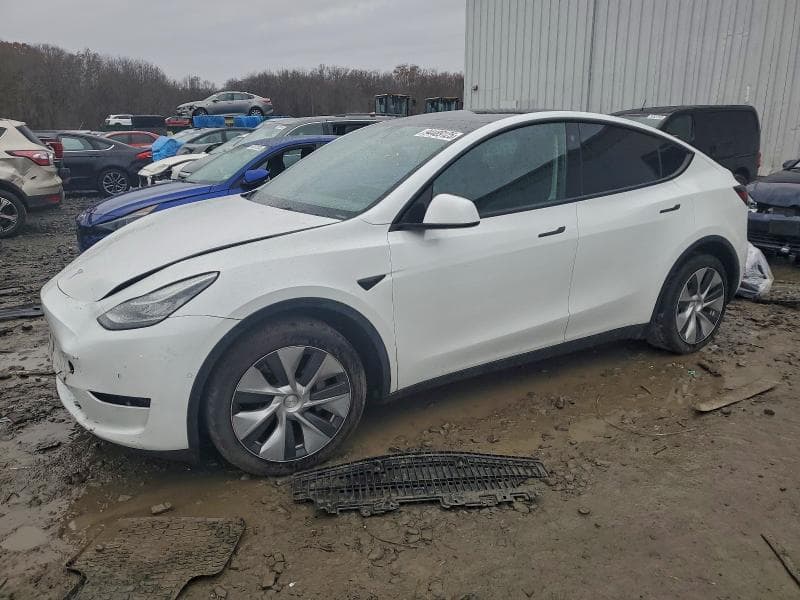 2022 TESLA MODEL Y - 1