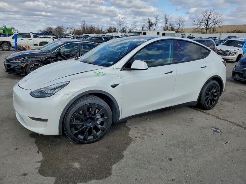 2020 TESLA MODEL Y - 1