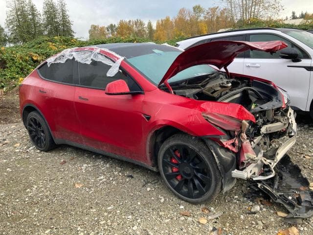 2021 TESLA MODEL Y - 1