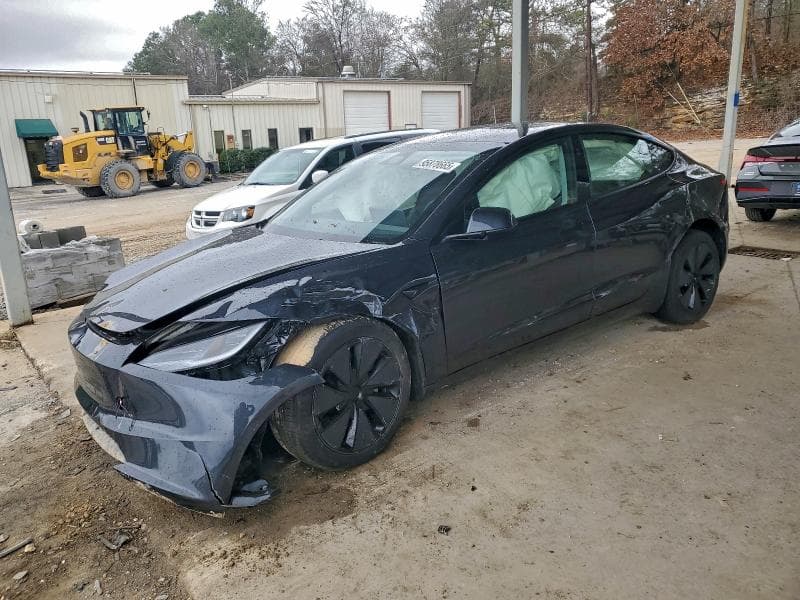 2025 TESLA MODEL 3 - 1