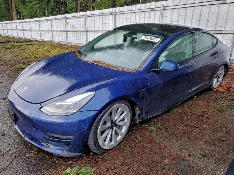 2022 TESLA MODEL 3 - 1
