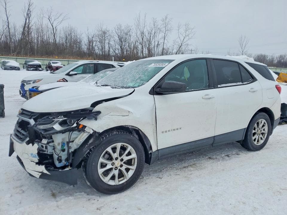 2020 CHEVROLET EQUINOX LS - 1