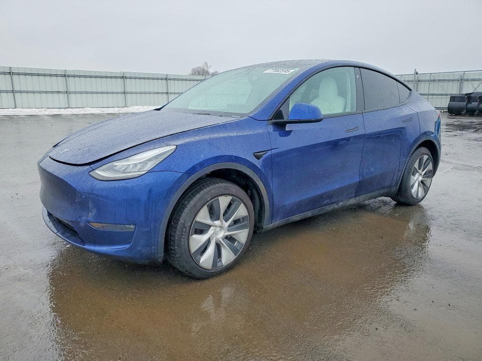 2020 TESLA MODEL Y - 1