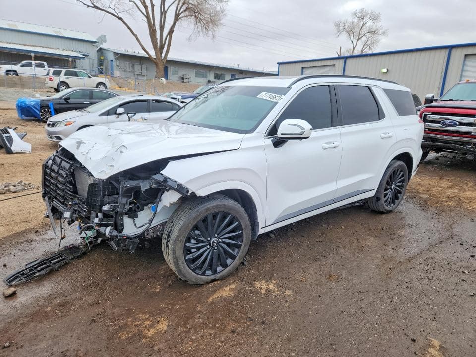 2025 HYUNDAI PALISADE CALLIGRAPHY NIGHT EDITION - 1