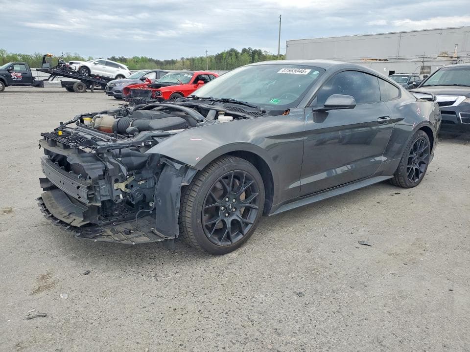 2019 FORD MUSTANG - 1