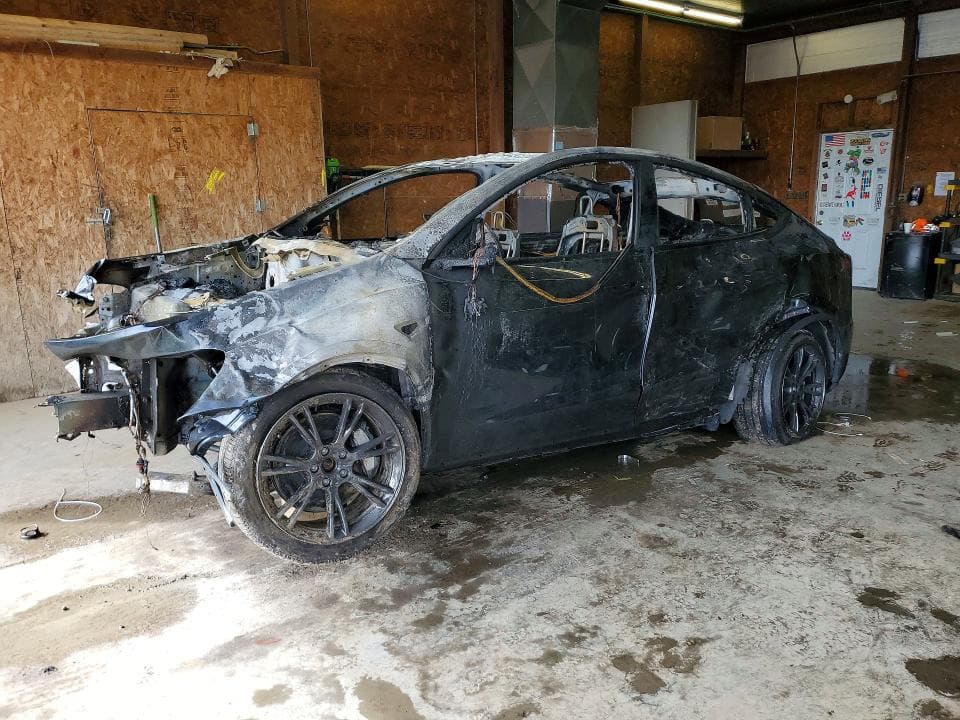 2024 TESLA MODEL Y - 1