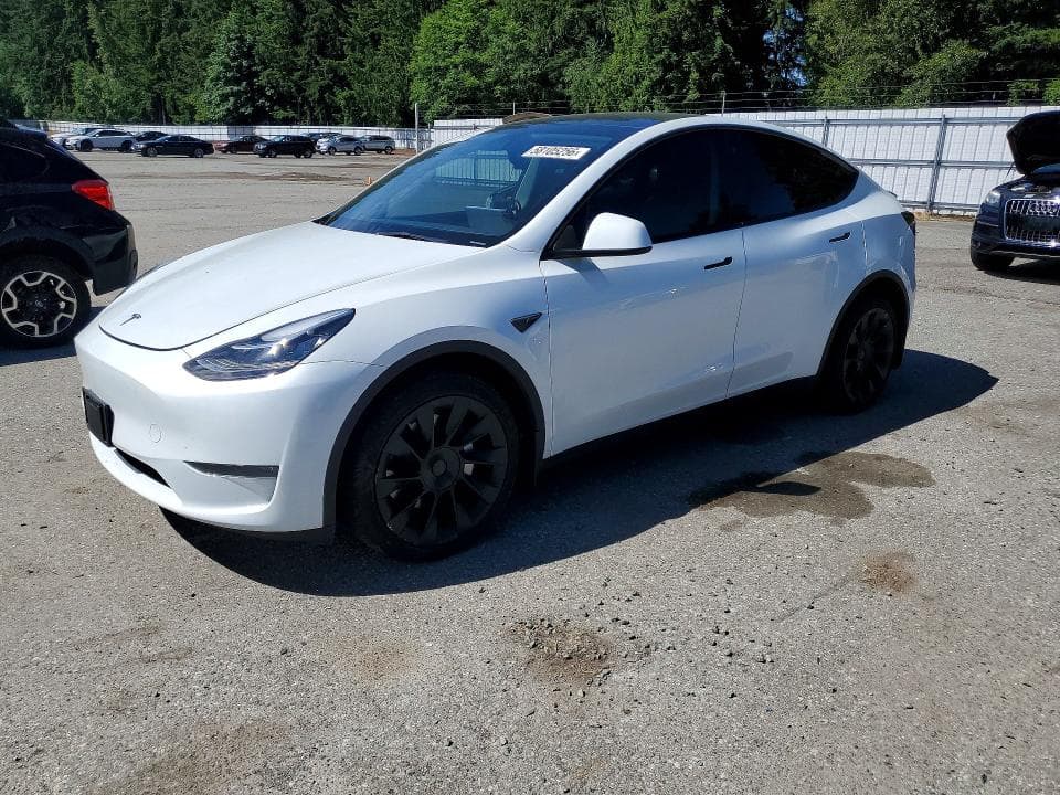 2023 TESLA MODEL Y - 1