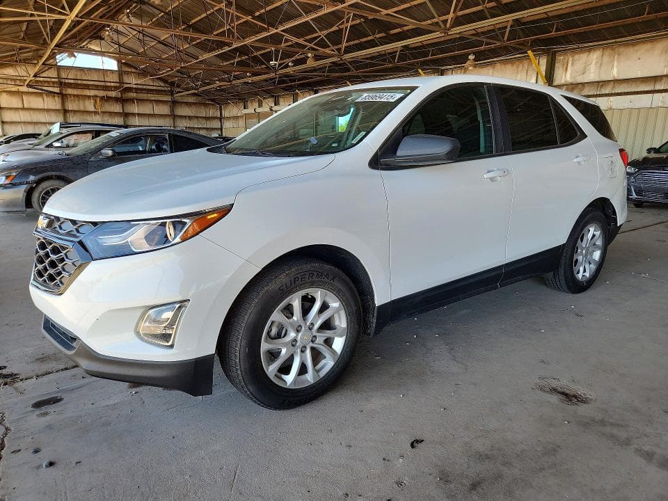 2021 CHEVROLET EQUINOX LS - 1