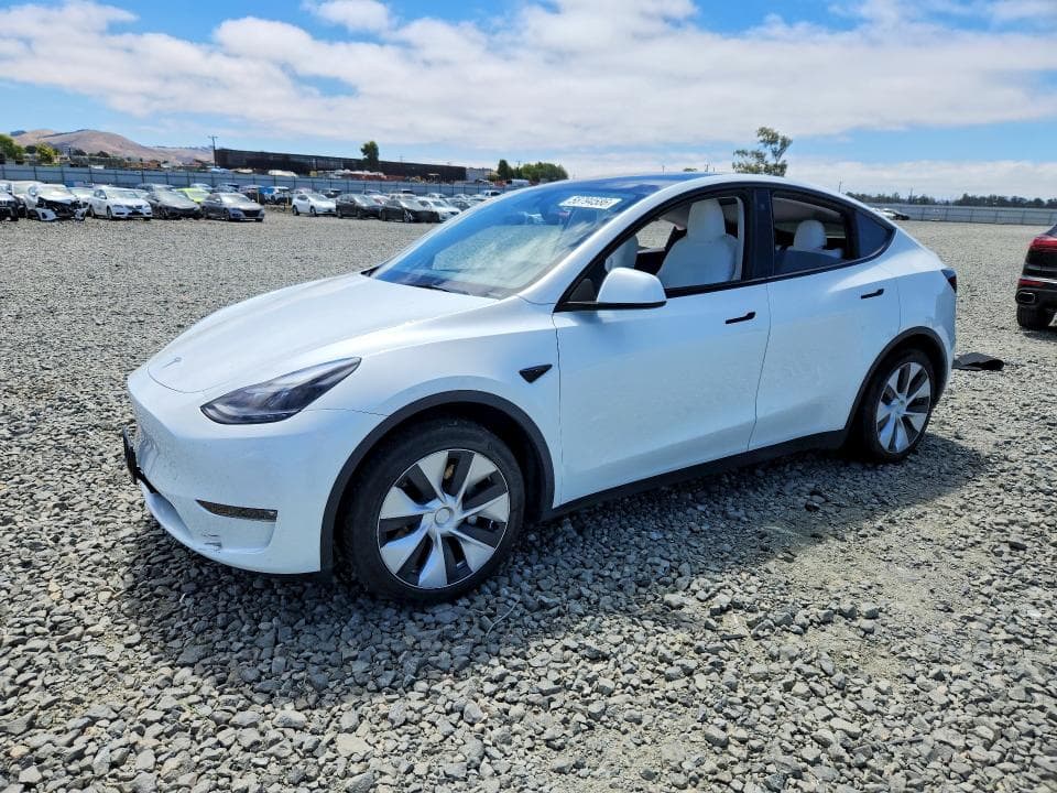 2023 TESLA MODEL Y - 1