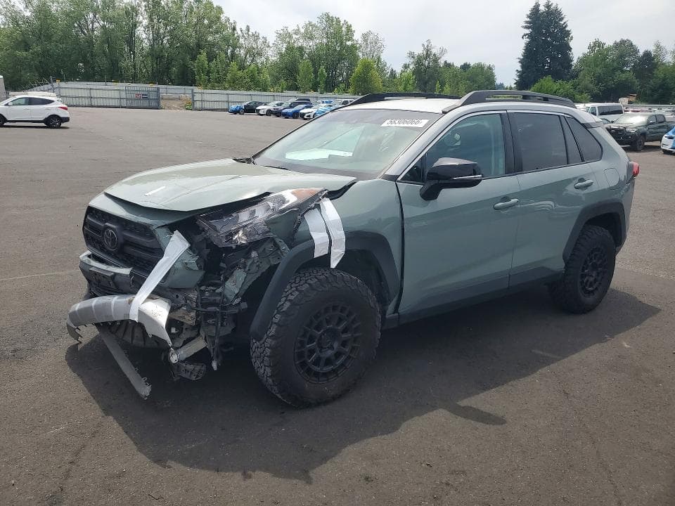2019 TOYOTA RAV4 ADVENTURE - 1