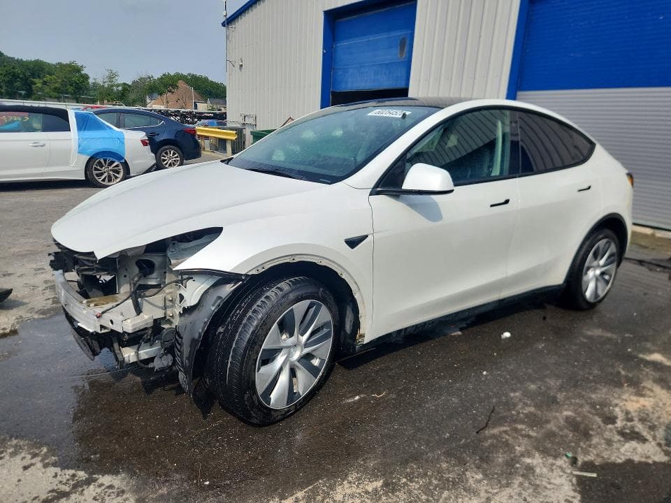 2021 TESLA MODEL Y - 1