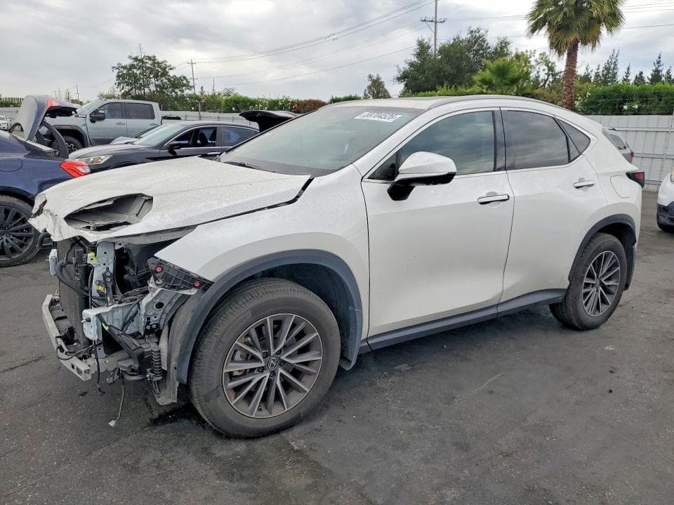 2024 LEXUS NX 350H PREMIUM - 1