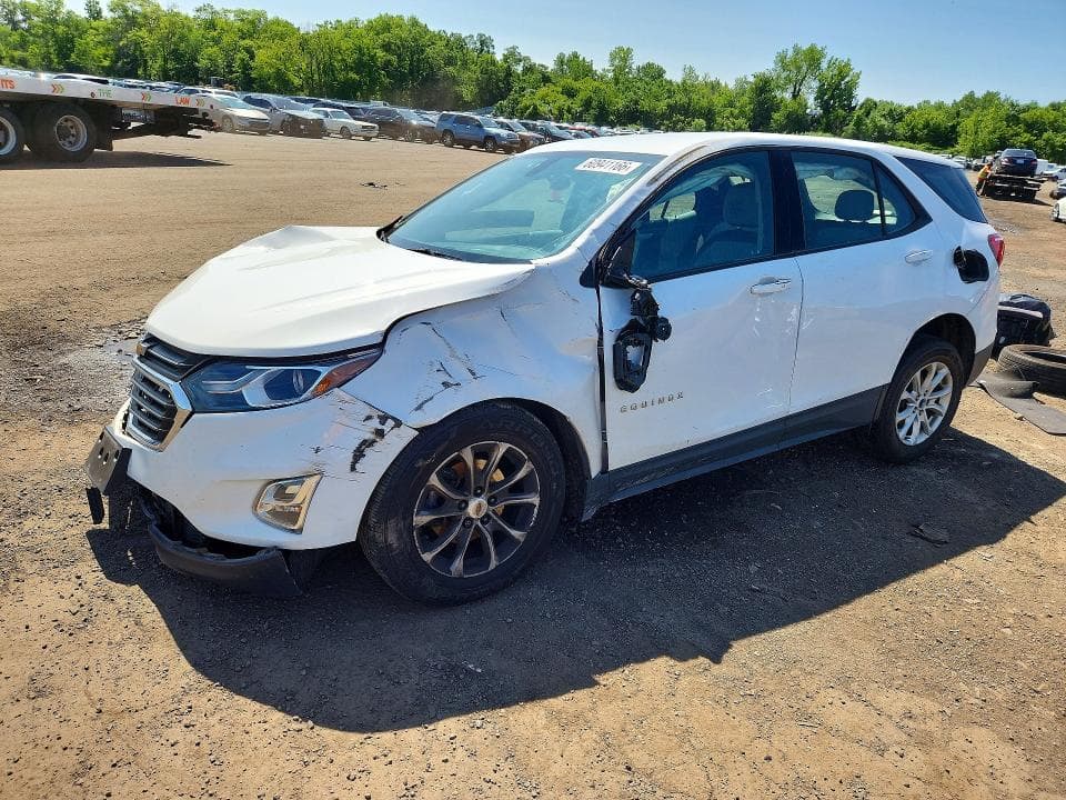 2019 CHEVROLET EQUINOX LS - 1