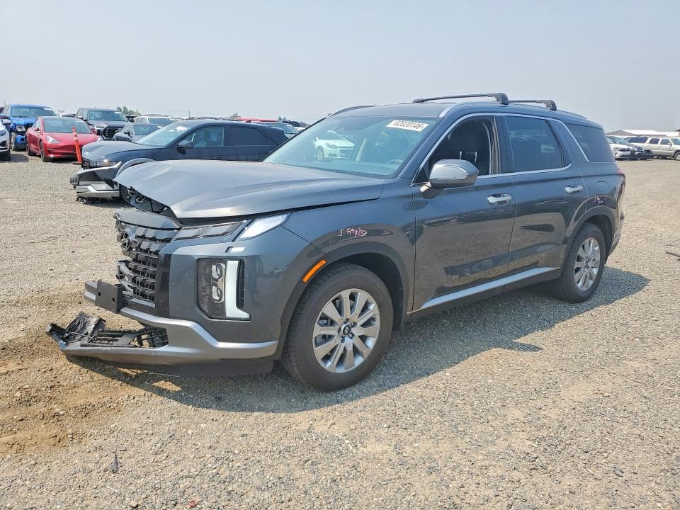 2025 HYUNDAI PALISADE SEL - 1