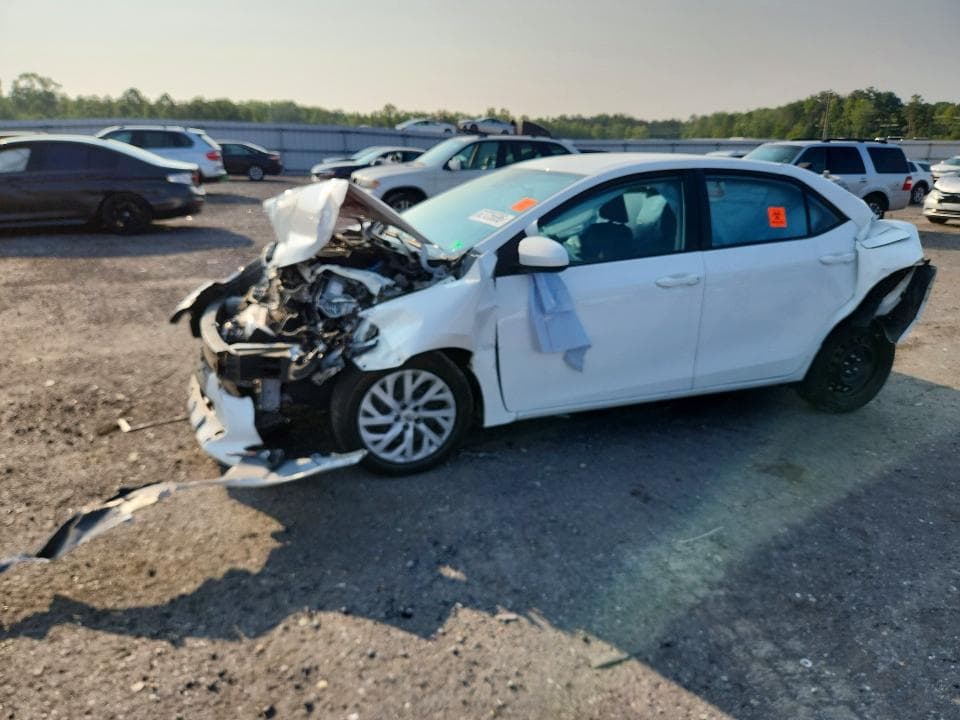 2019 TOYOTA COROLLA LE - 1