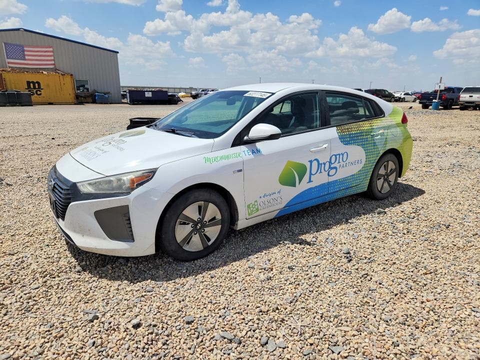 2019 HYUNDAI IONIQ BLUE - 1