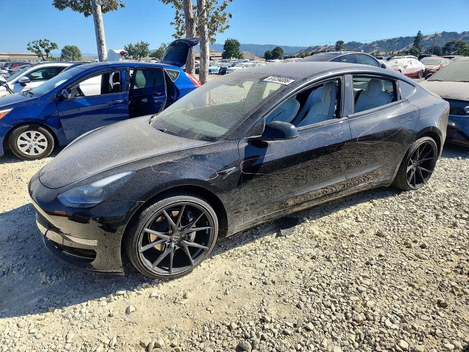 2021 TESLA MODEL 3 - 1