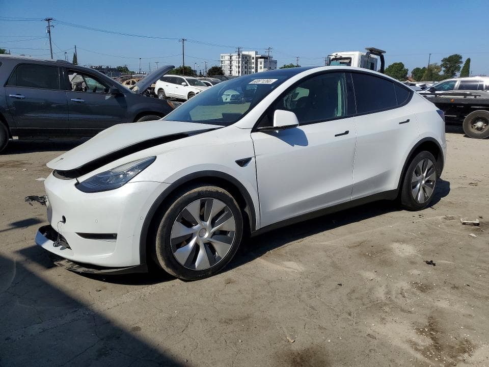 2021 TESLA MODEL Y - 1