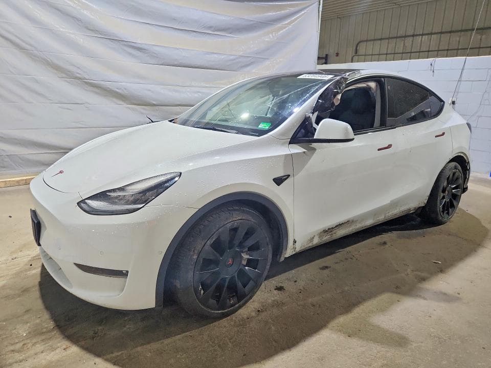 2021 TESLA MODEL Y - 1