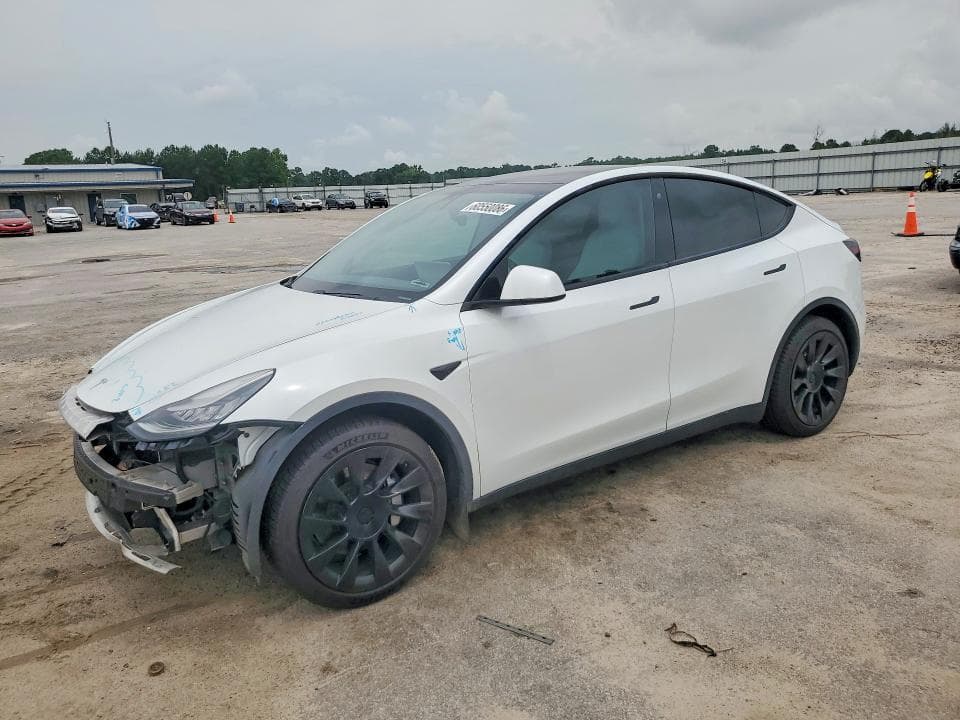 2020 TESLA MODEL Y - 1