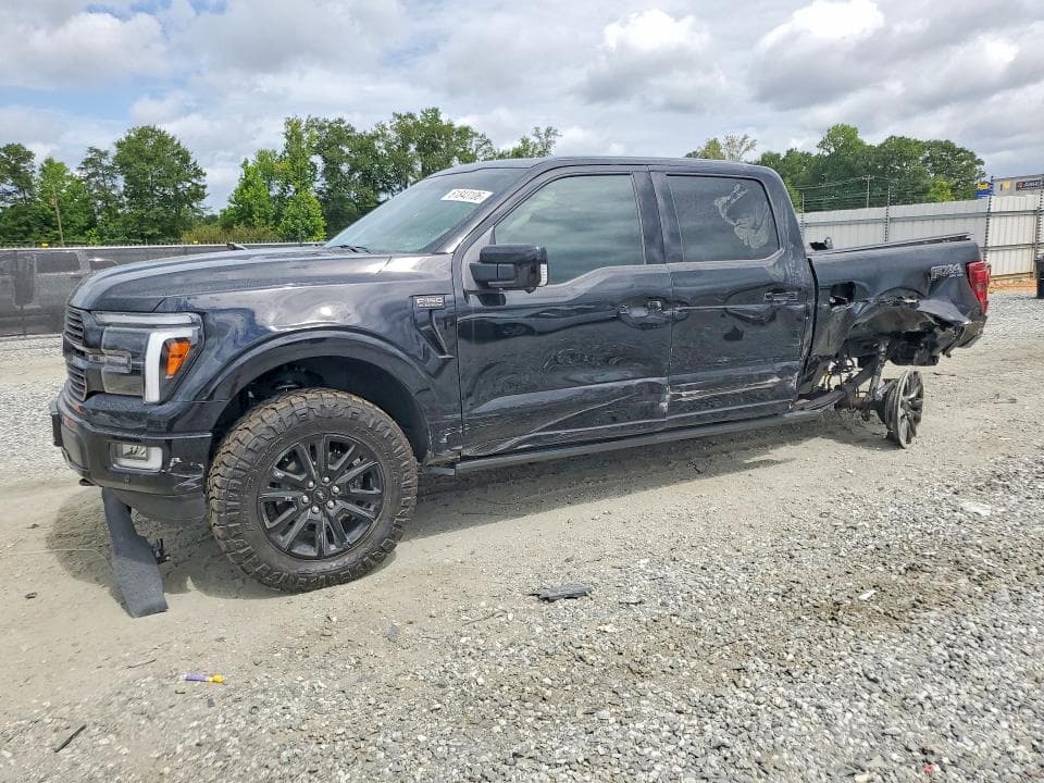 2025 FORD F150 PLATINUM - 1