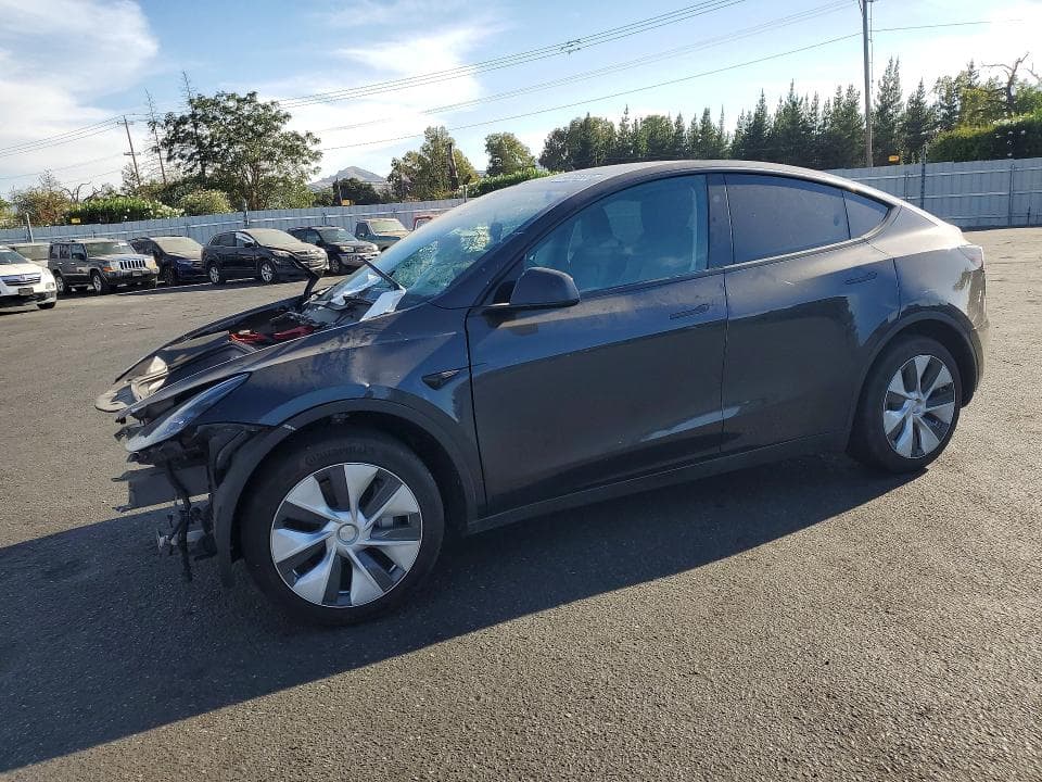 2024 TESLA MODEL Y - 1
