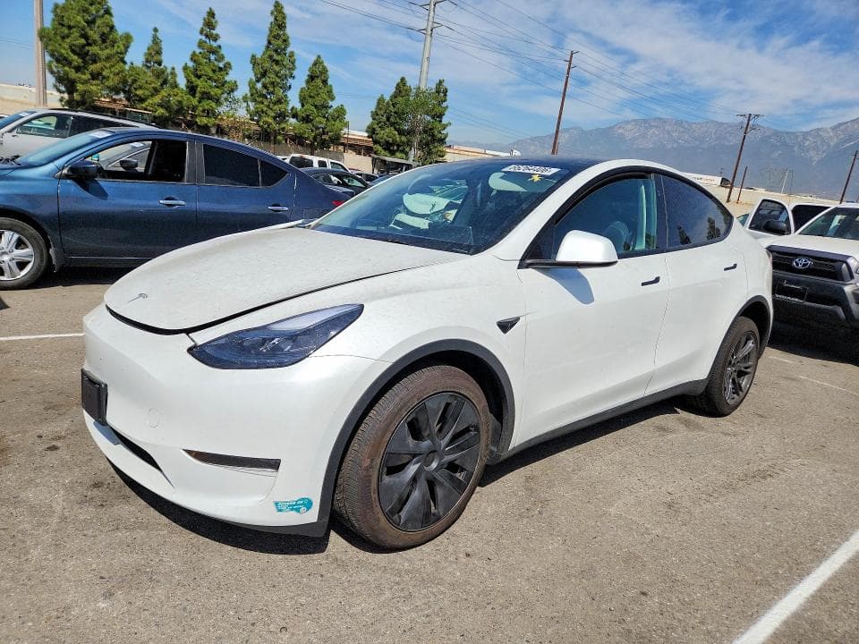 2025 TESLA MODEL Y - 1