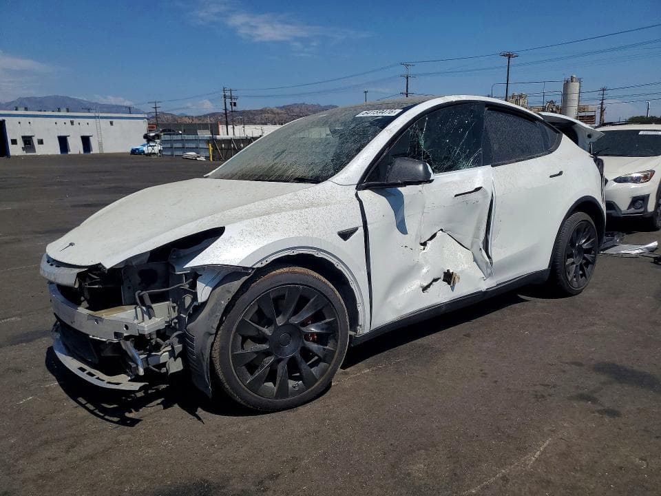 2021 TESLA MODEL Y - 1