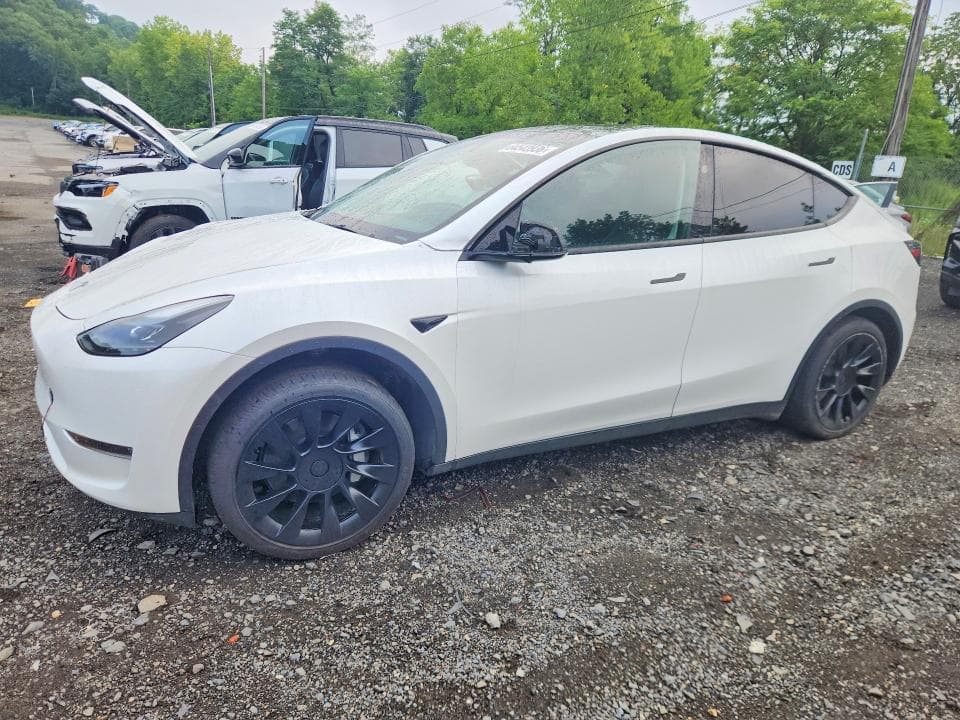2023 TESLA MODEL Y - 1