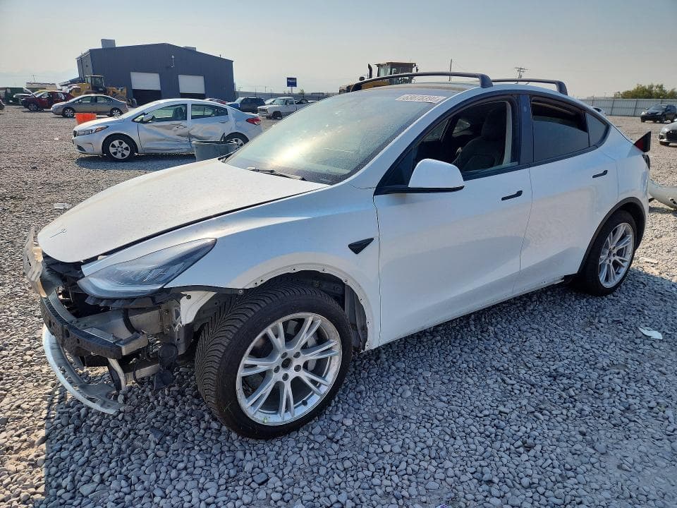 2021 TESLA MODEL Y - 1