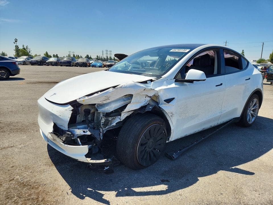 2024 TESLA MODEL Y - 1