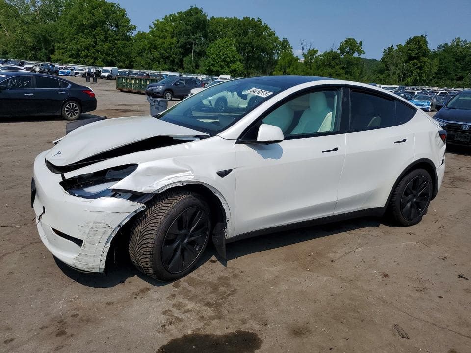 2025 TESLA MODEL Y - 1