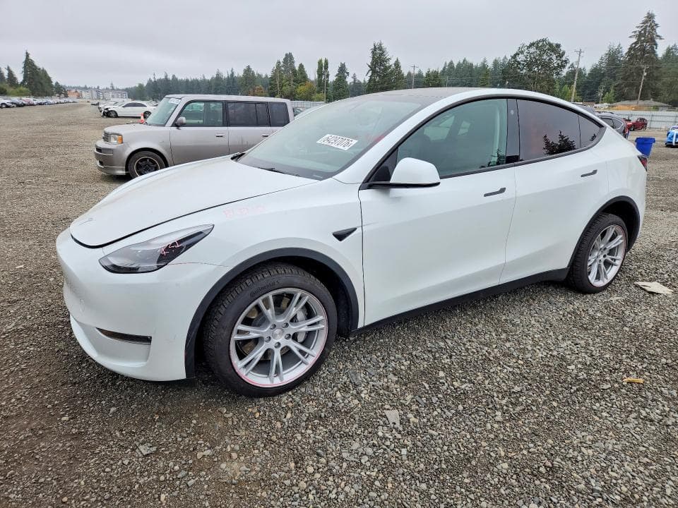2023 TESLA MODEL Y - 1