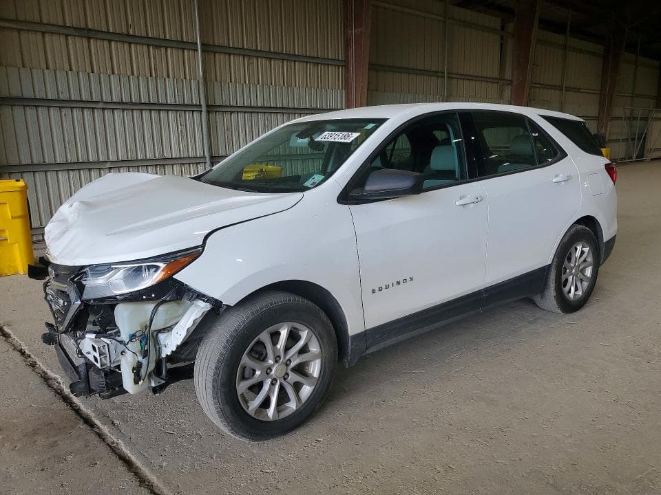 2019 CHEVROLET EQUINOX LS - 1